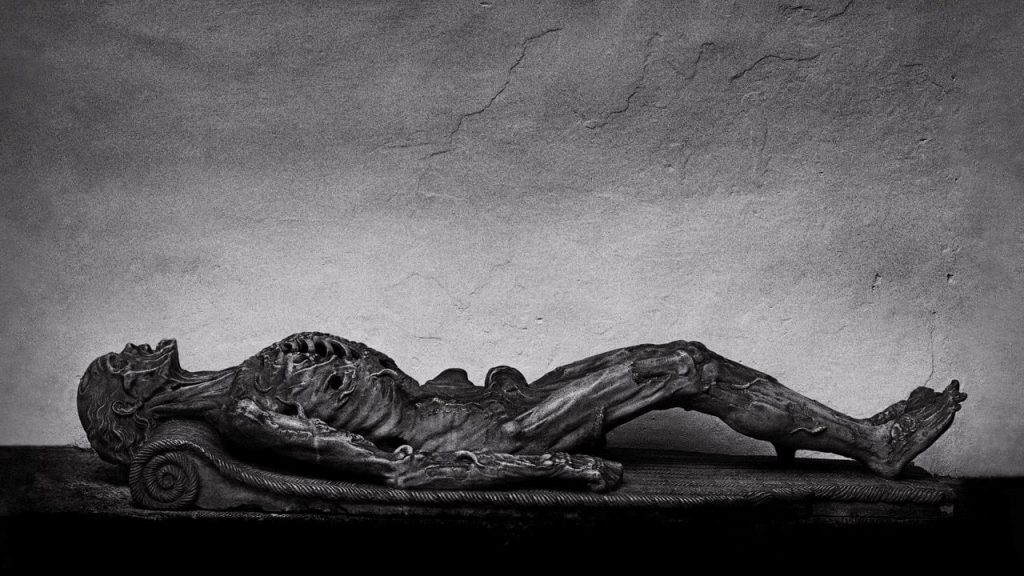 Curriculum Mortis Blog Alberto Heller